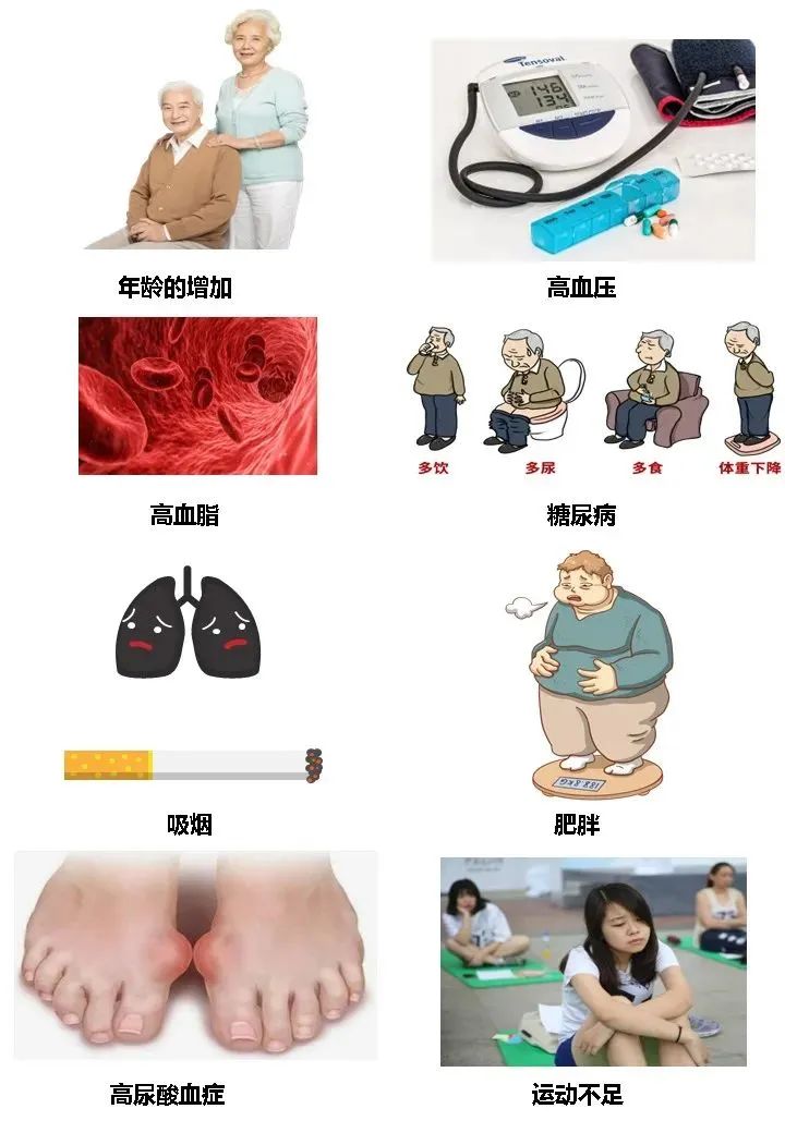 【设备介绍】动脉硬化检测仪——早期发现心脑血管病的利器